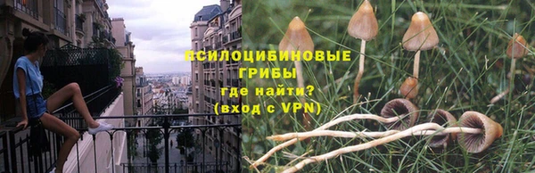 стафф Абдулино