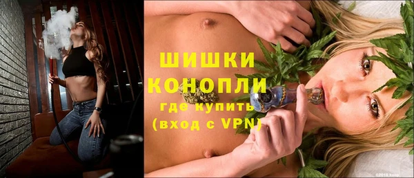 прущая мука Вяземский
